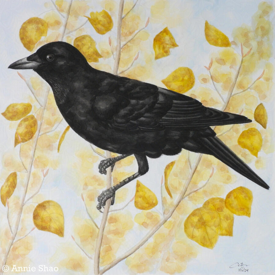 Detailed watercolor painting of an American crow perched on a thin vertical birch branch with golden fall leaves. The bird is seen from the side. The background shows additional branches with golden leaves and pale blue sky.