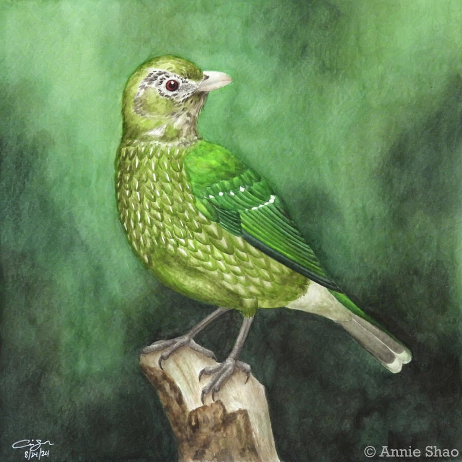 Detailed watercolor painting of a green catbird. The catbird has a bright olive-green face and belly with bright green wings, a red eye and a light pink bill. It is perched on a broken off tree branch against a dark green background.