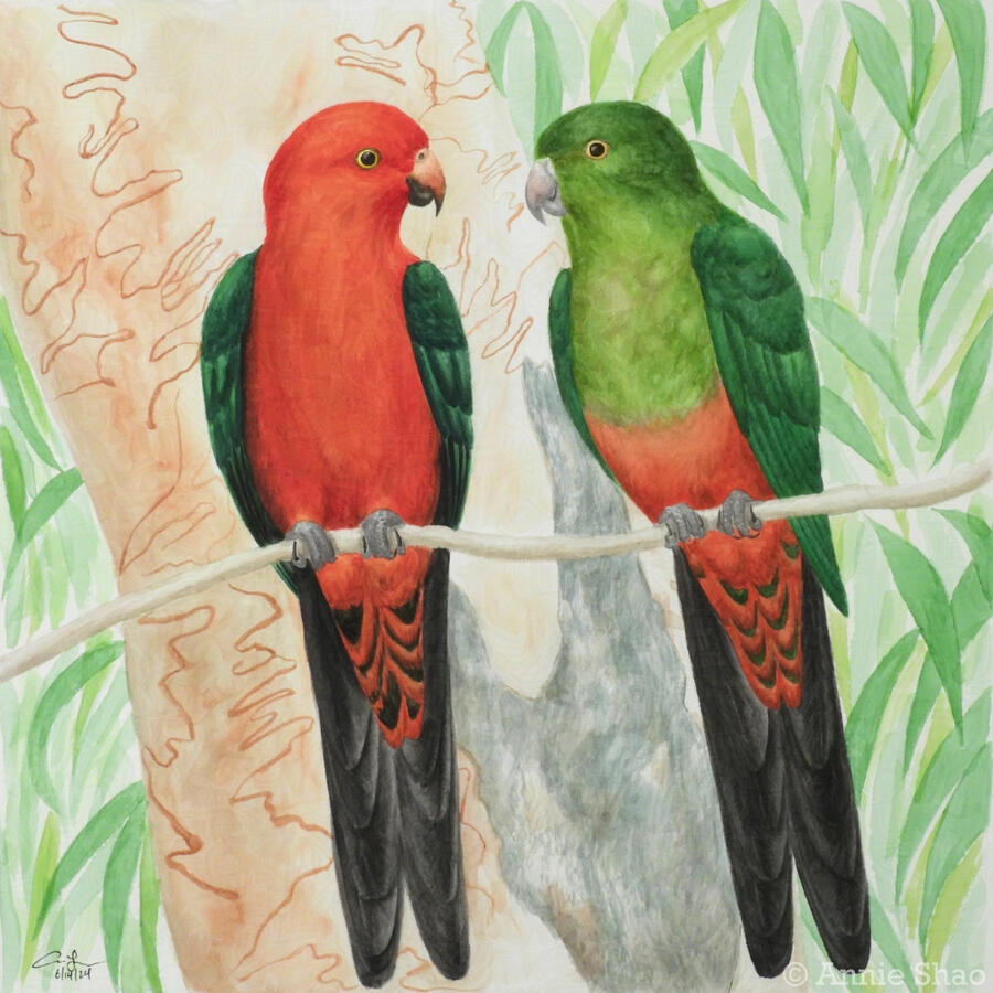 Detailed watercolor painting of a pair of Australian king parrots perched on a thin horizontal branch, facing each other. The male on the left is bright red with green wings, and the female on the right has a red belly, green head and chest, and green wing
