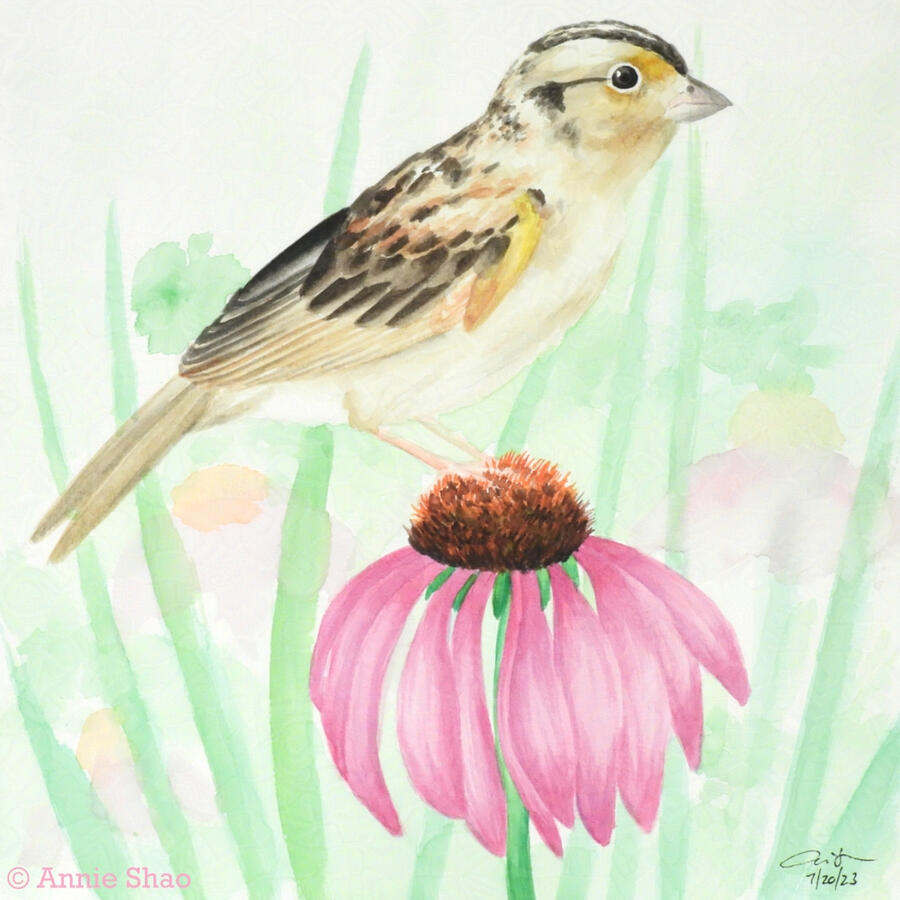 88. Grasshopper Sparrow