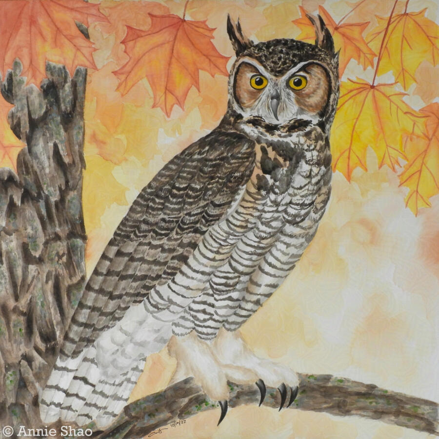 70. Great Horned Owl