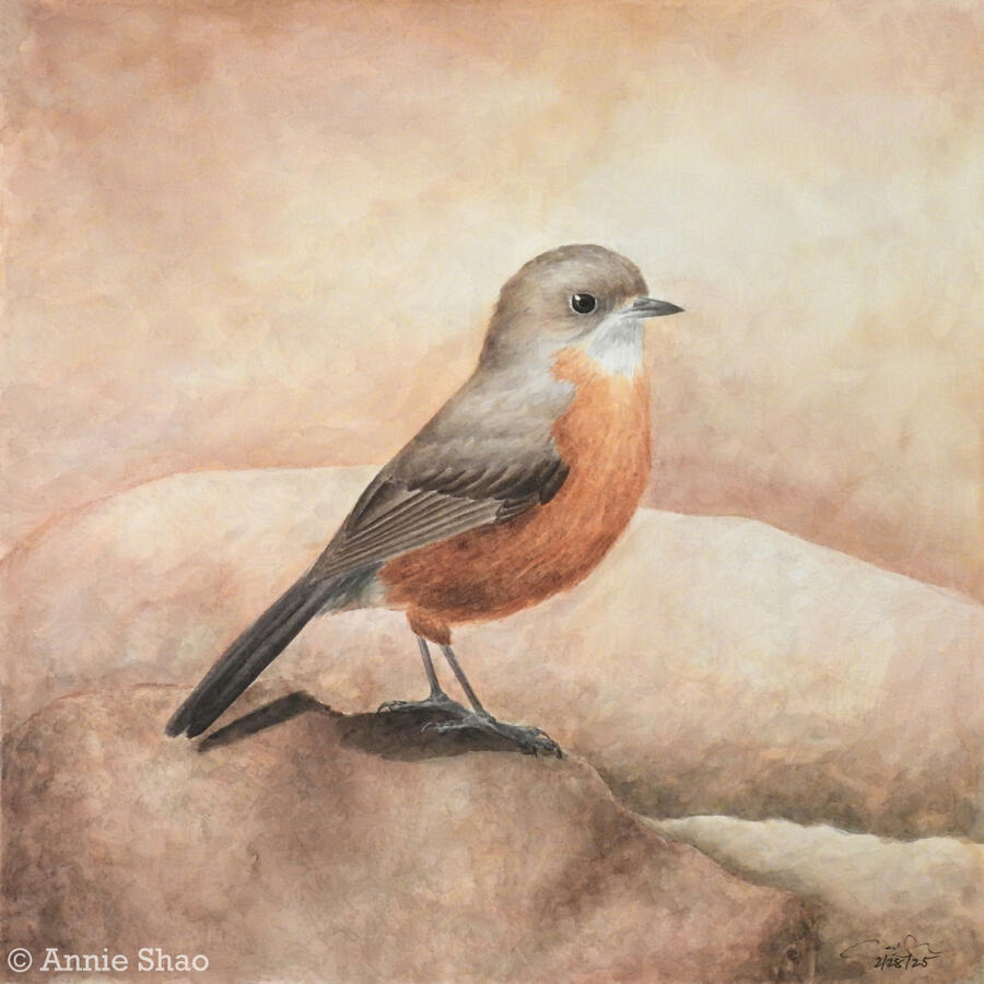 Detailed watercolor painting of a rockwarbler on a background of red-brown stone.