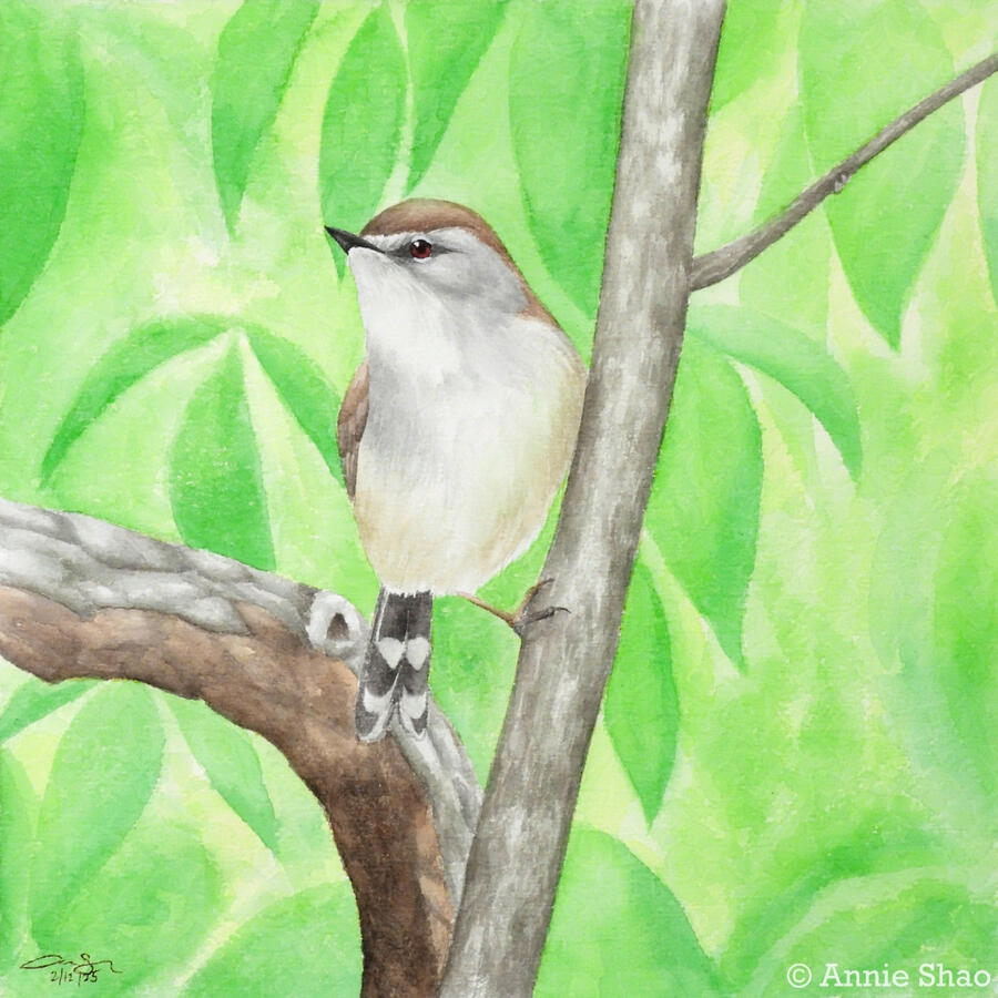 Detailed watercolor painting of a brown gerygone clinging to a thin tree trunk on a background of bright green leaves.
